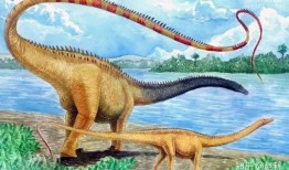 网红吃瓜恐龙图片大全,网红吃瓜恐龙萌态大盘点